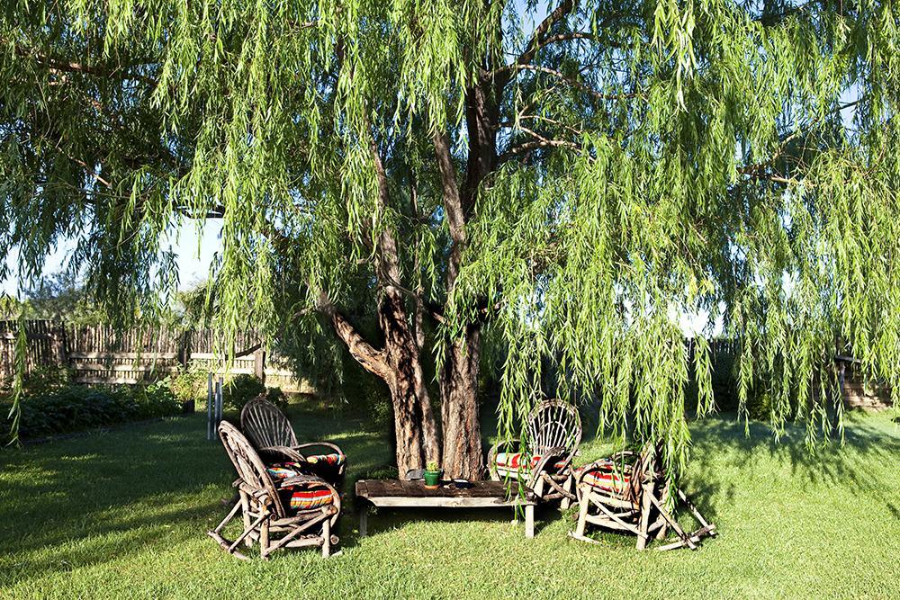 Casa Gallina - An Artisan Inn Таос Екстер'єр фото